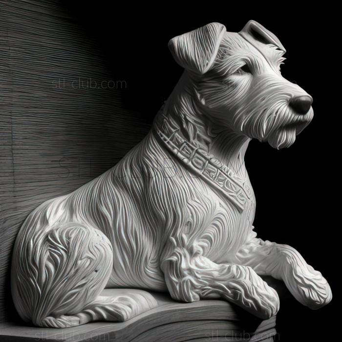 st Foxterrier dog